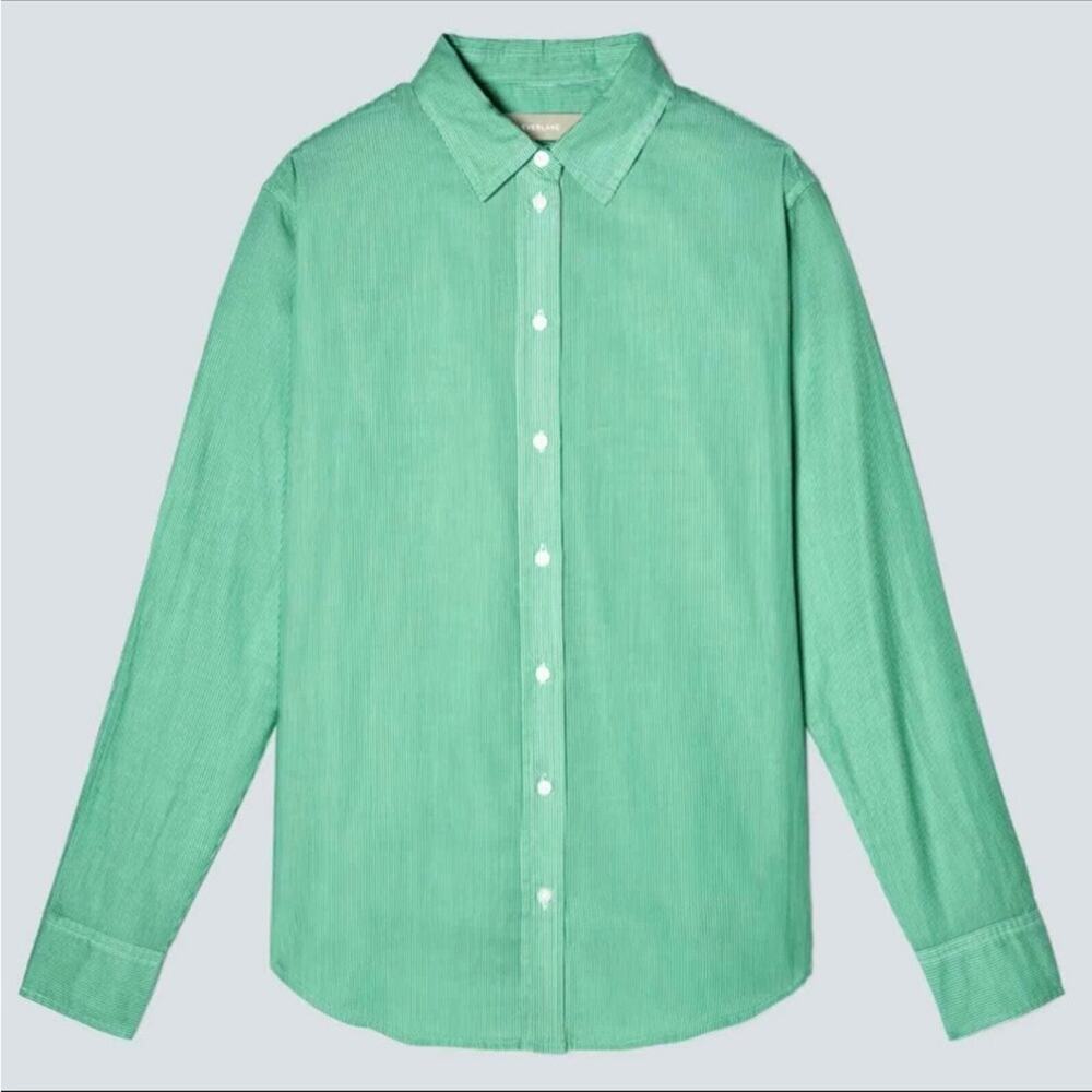 Everlane Button Down Cotton Oversized Pinstripe Shirt Mint Green Size 6